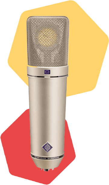 Neumann U87 microphone.