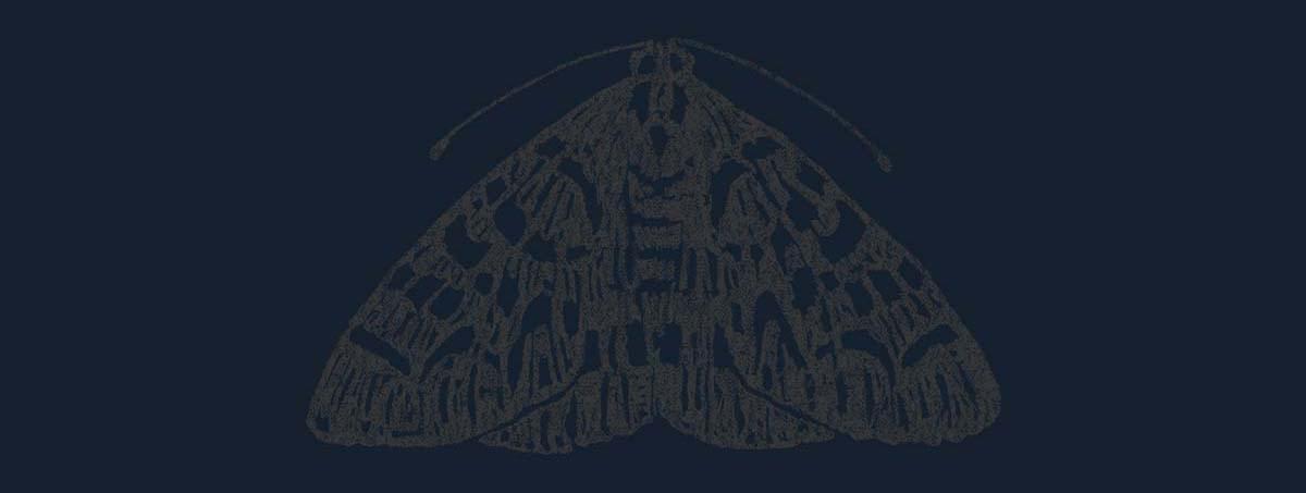 The moth banner 4